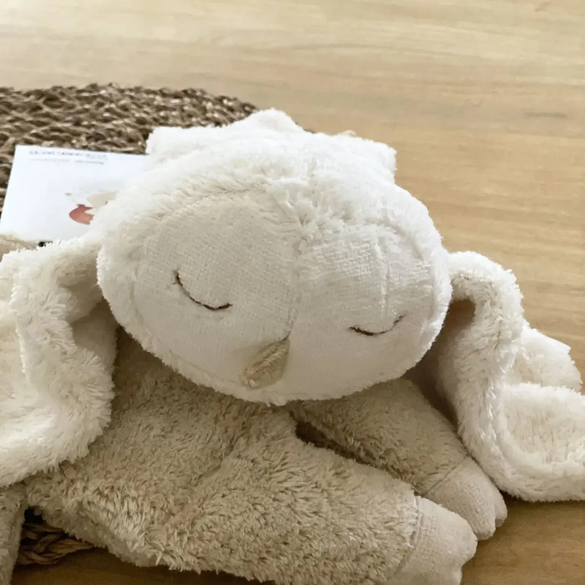 Senger Naturwelt Chouette doudou bouillotte coton bio