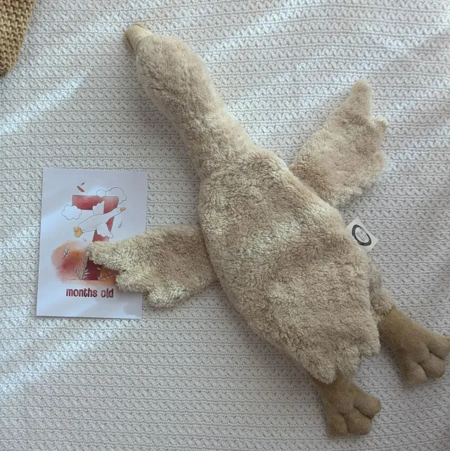 Senger Naturwelt Oie doudou bouillotte coton bio