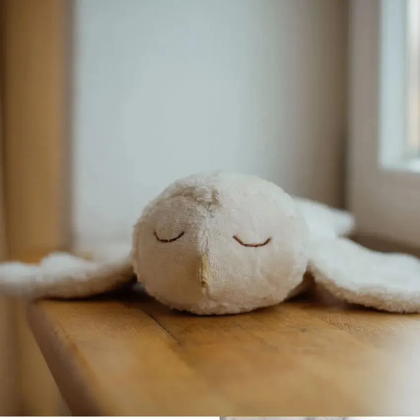Senger Naturwelt Chouette doudou bouillotte coton bio