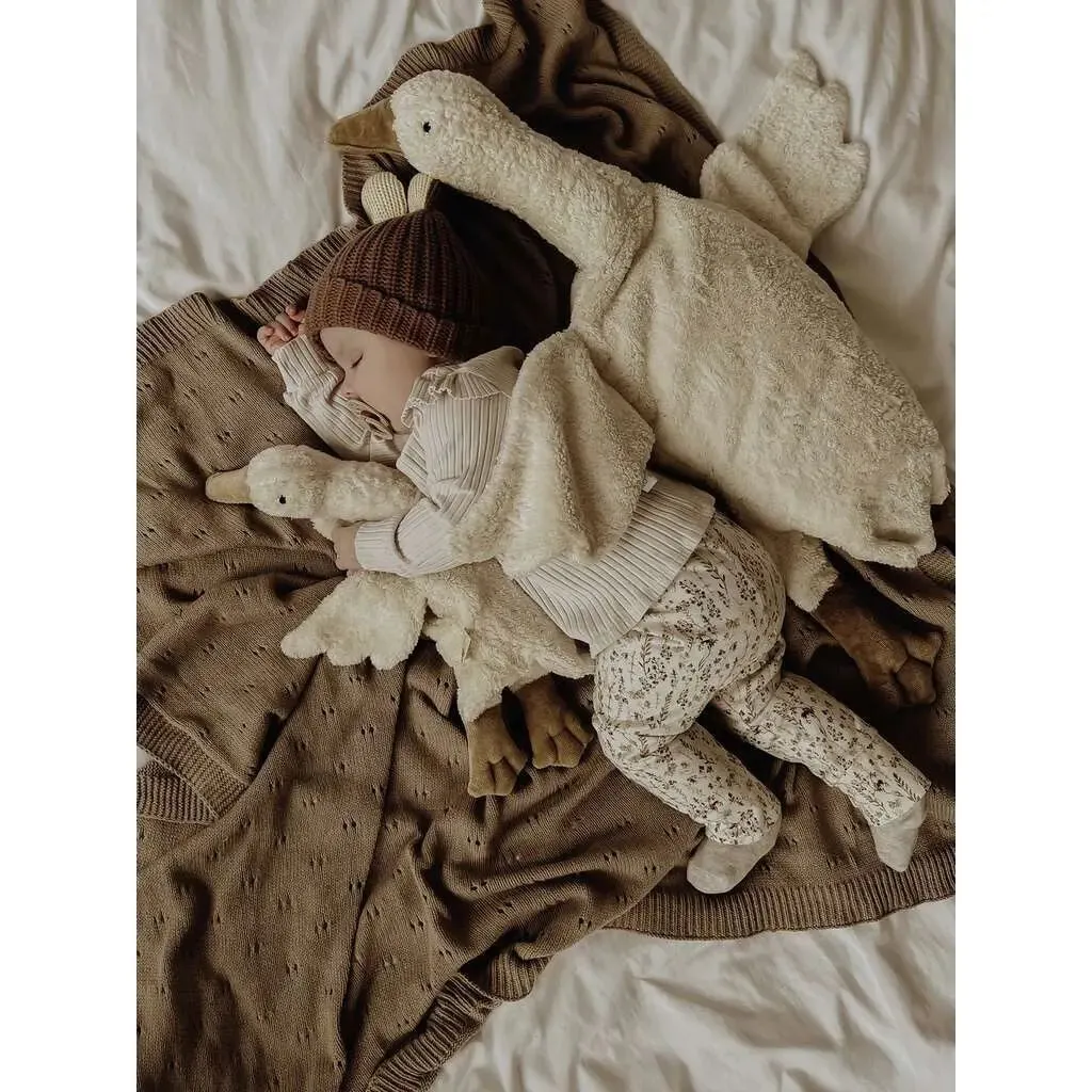 Senger Naturwelt Doudou bouillotte Oie coton bio et laine