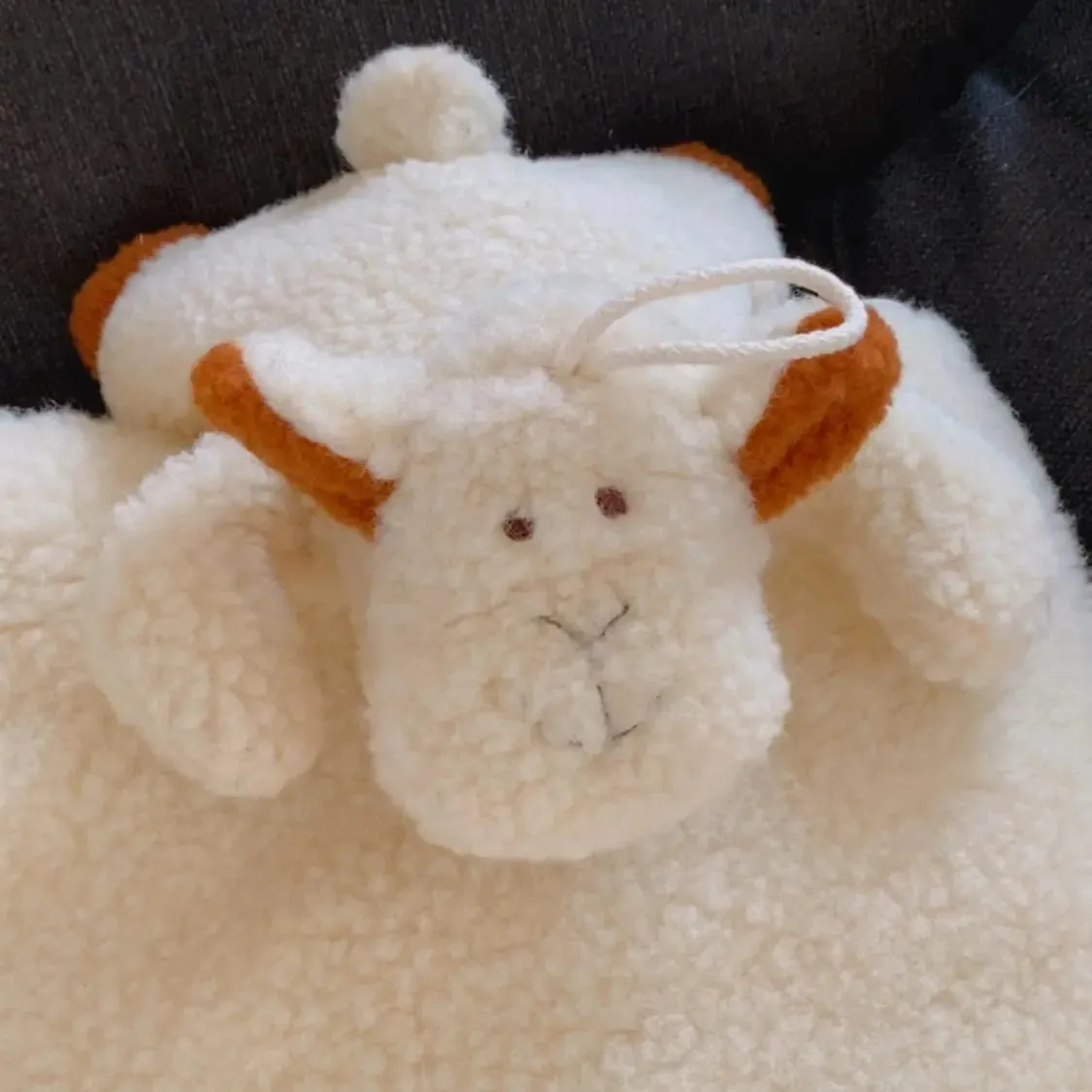 Lil Inappy Sassoupi bouillotte Mouton laine vierge