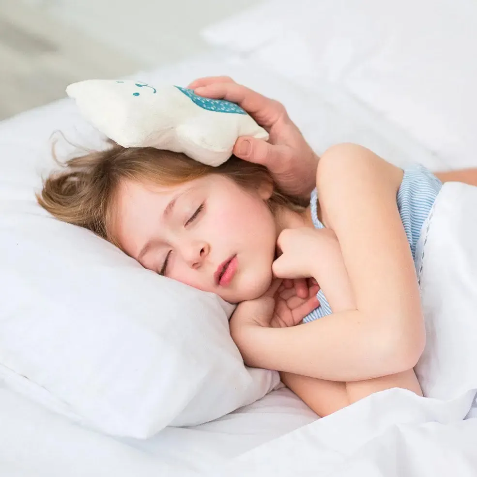 Béké-Bobo Ourson bouillotte sèche céréales bio