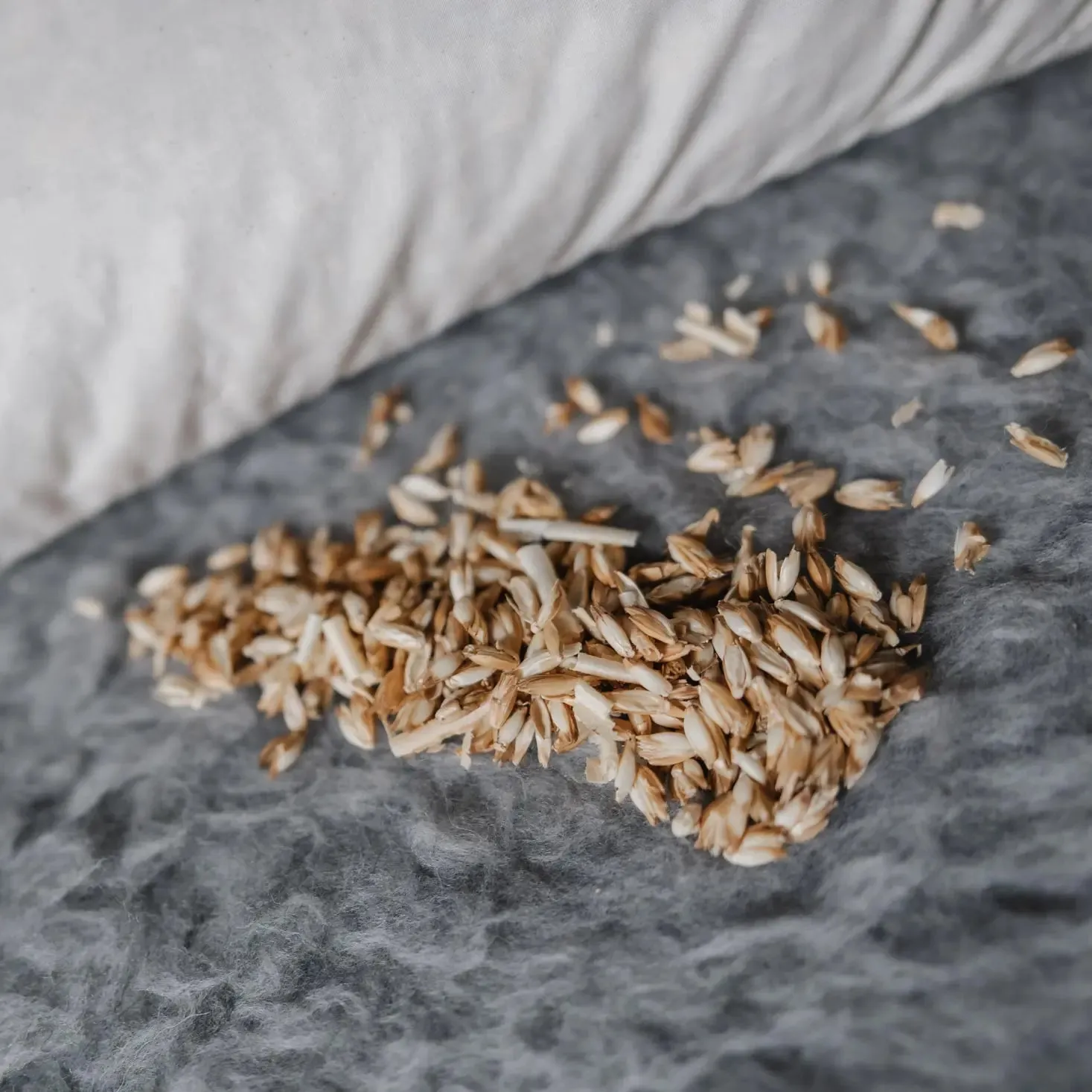 Saling oreiller épeautre pin cembro 40x60 coton bio