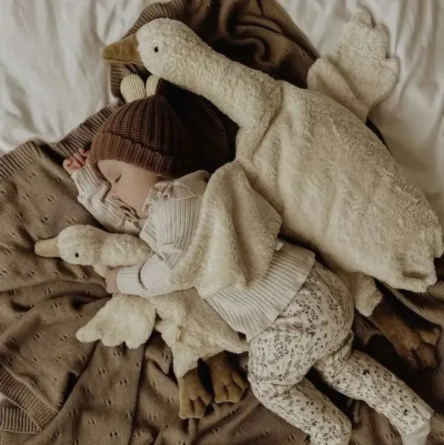 Senger Naturwelt Doudou bouillotte Oie coton bio et laine