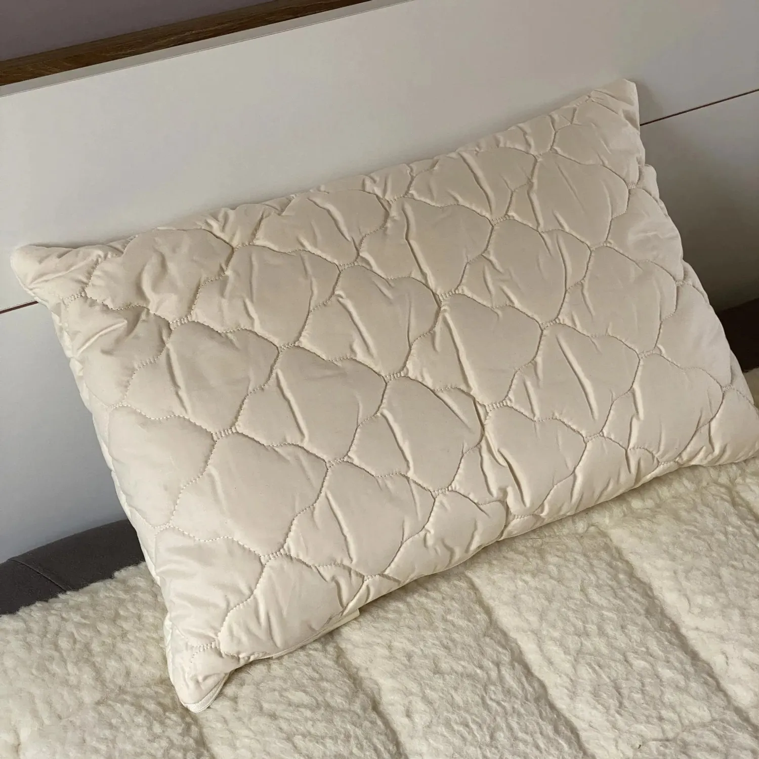 Saling oreiller épeautre pin cembro 40x60 coton bio