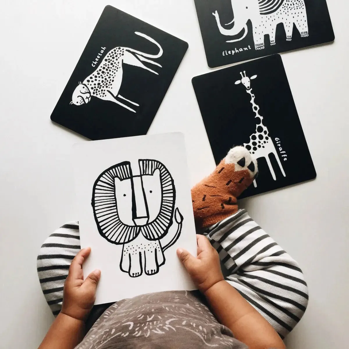 LiliNappy Wee Gallery coffret cadeau bébé