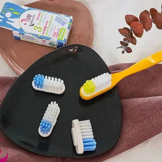 Lamazuna brosse à dents rechargeable