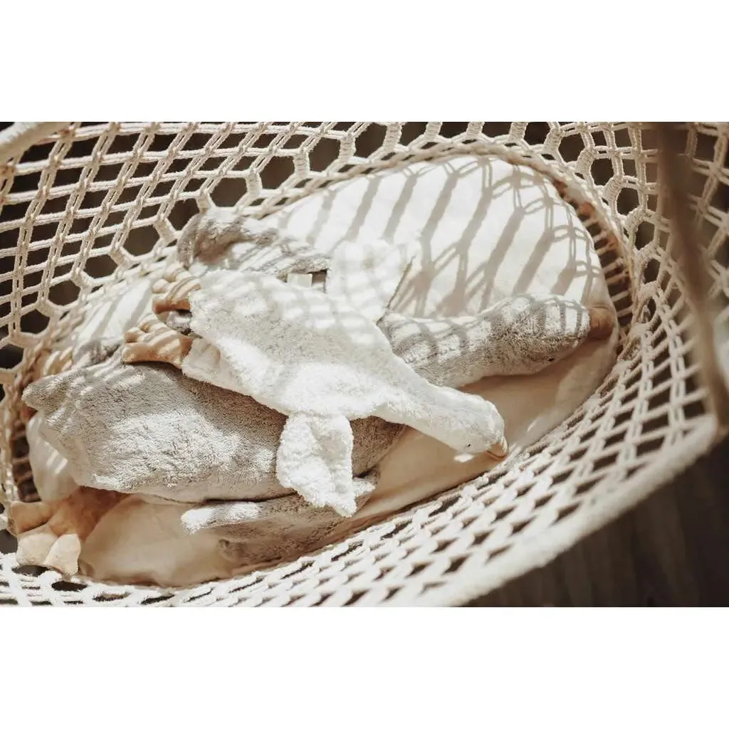 Senger Naturwelt Doudou bouillotte Oie coton bio et laine