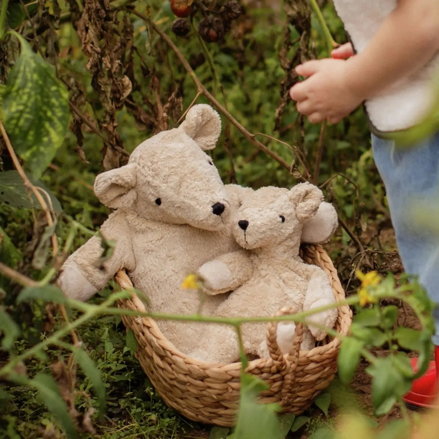 Senger Naturwelt Petit ours doudou bouillotte lin pépins raisin