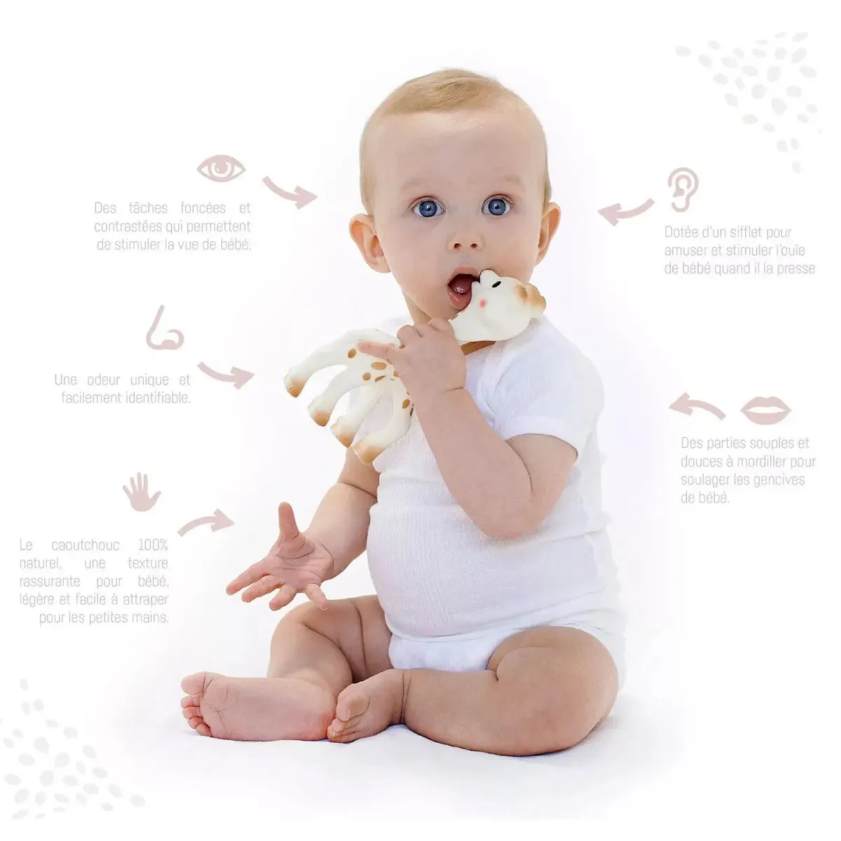 Sophie la girafe So'Pure coffret éveil dentition caoutchouc 2 pièces