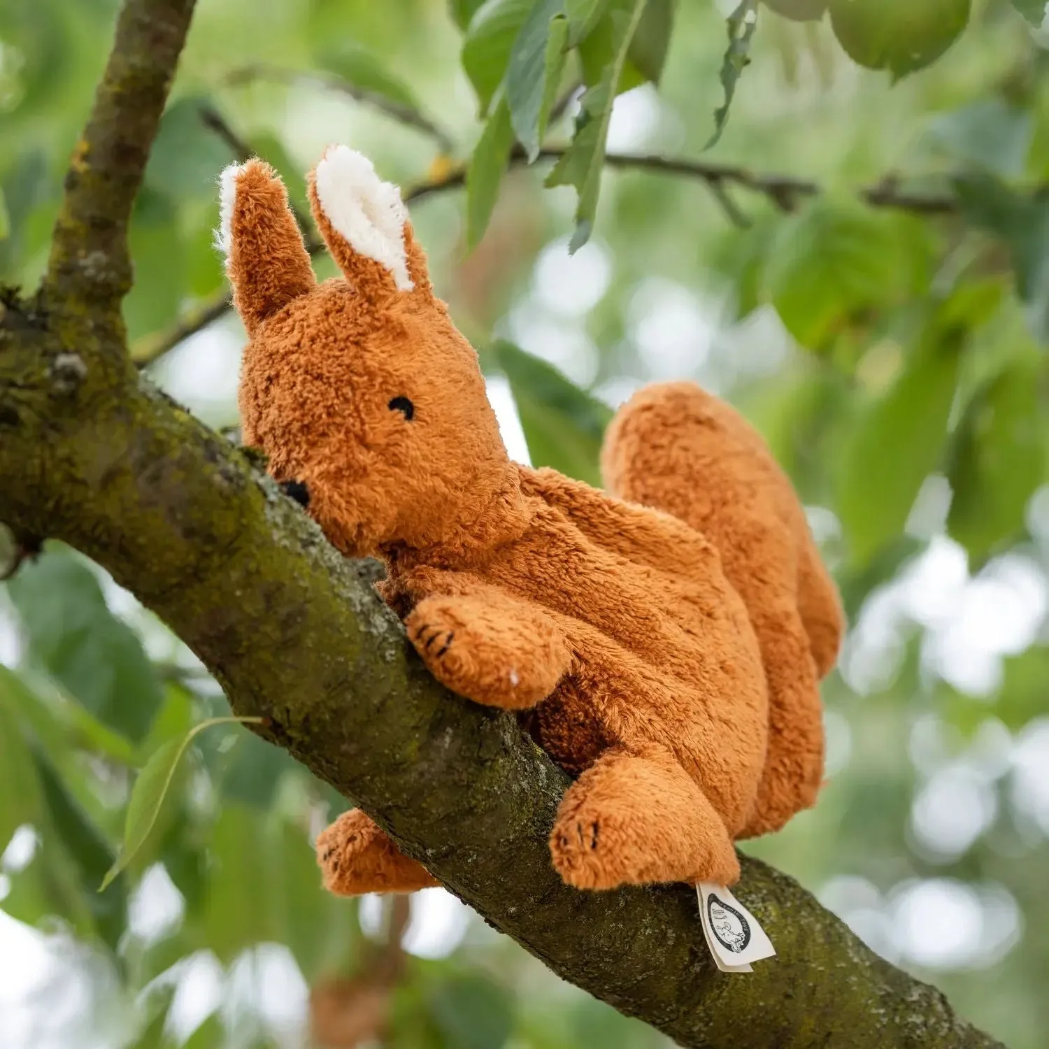 Senger Naturwelt Écureuil doudou bouillotte pépins raisin bio