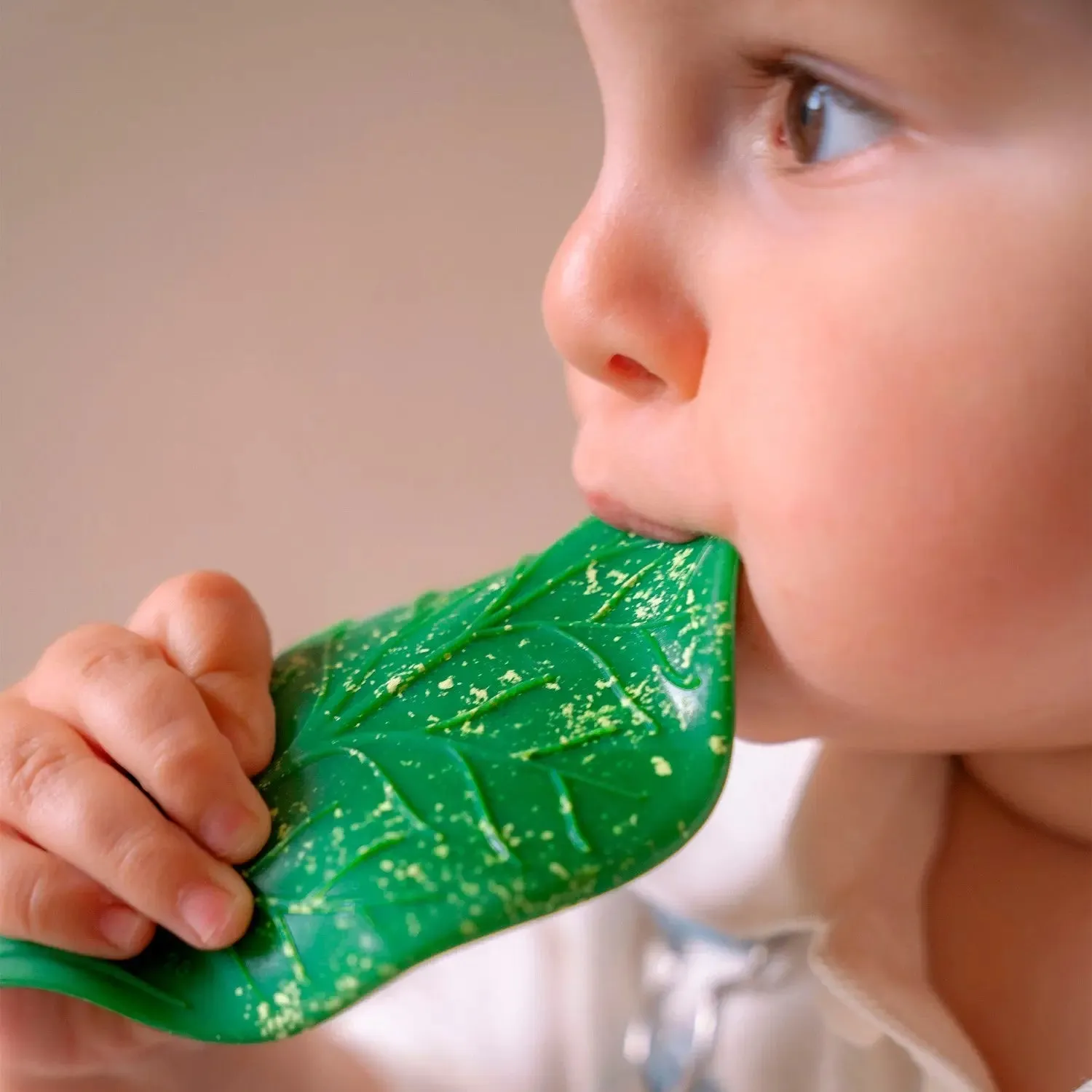 Oli & Carol Feuille Chlorophylle anneau dentition naturel