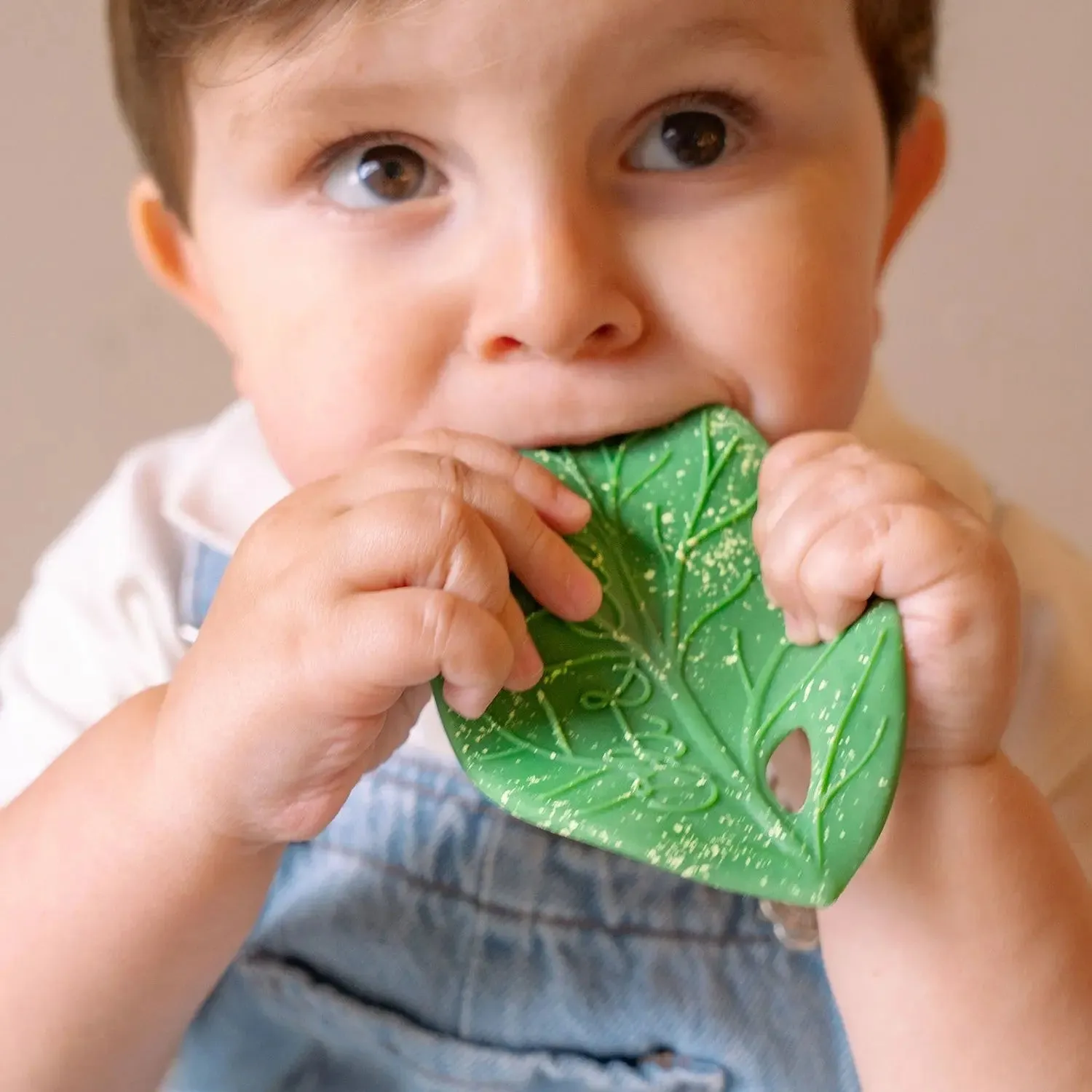 Oli & Carol Feuille Chlorophylle anneau dentition naturel