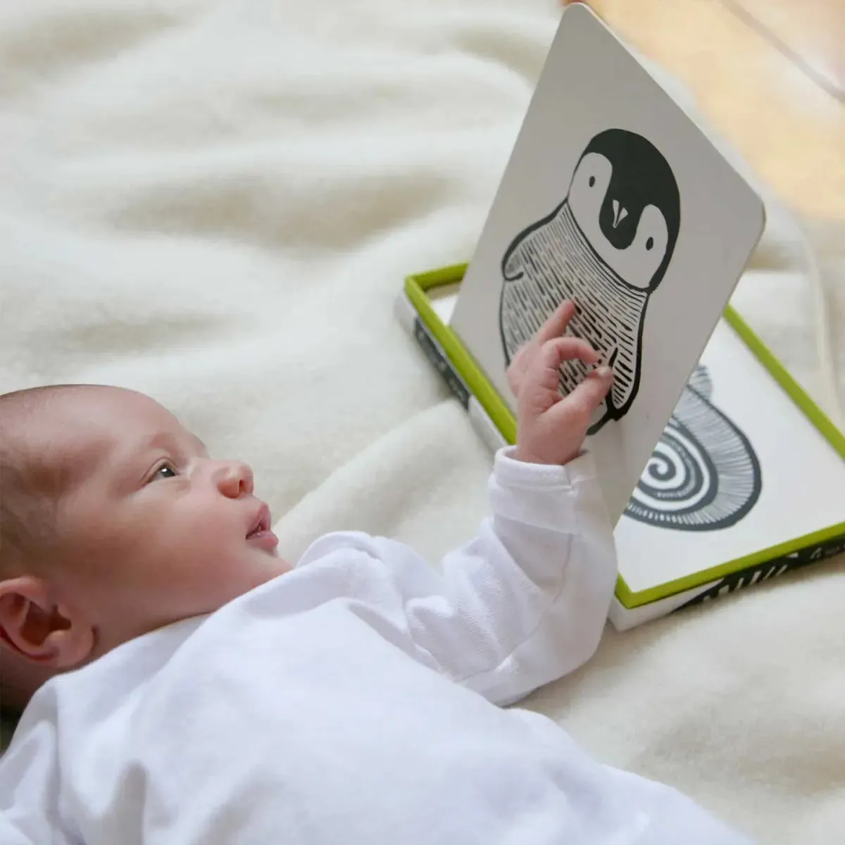 Wee Gallery cartes éveil bébé noir et blanc 6 contraste