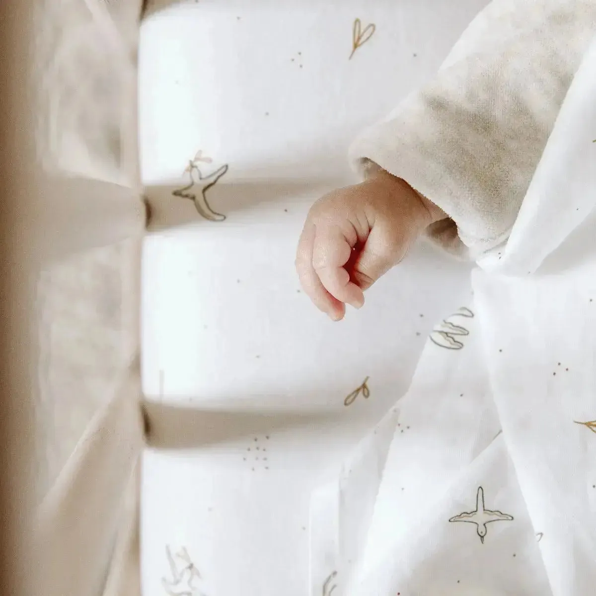 Kadolis drap-housse bébé en coton bio