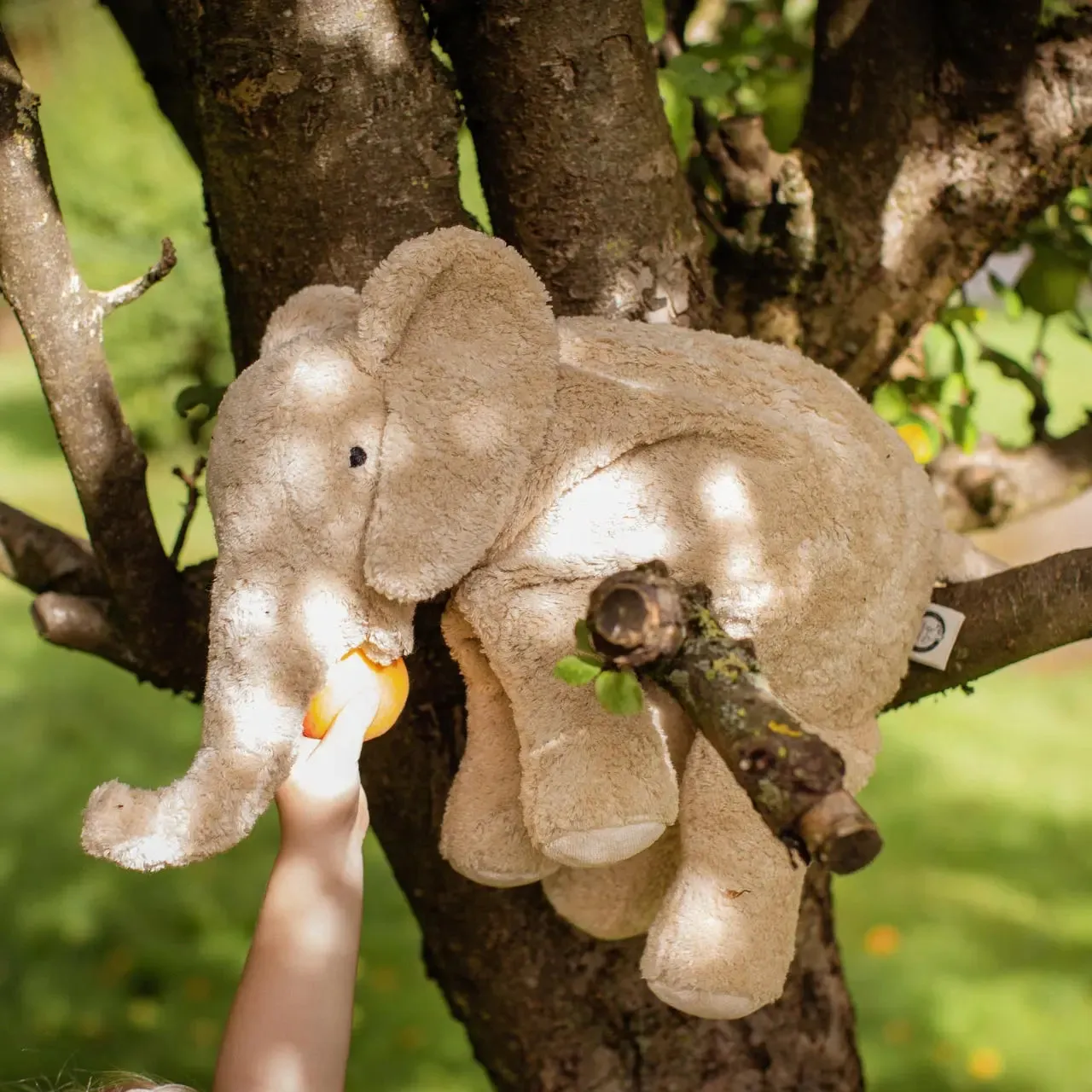 Senger Naturwelt doudou bouillotte Éléphant coton bio grand